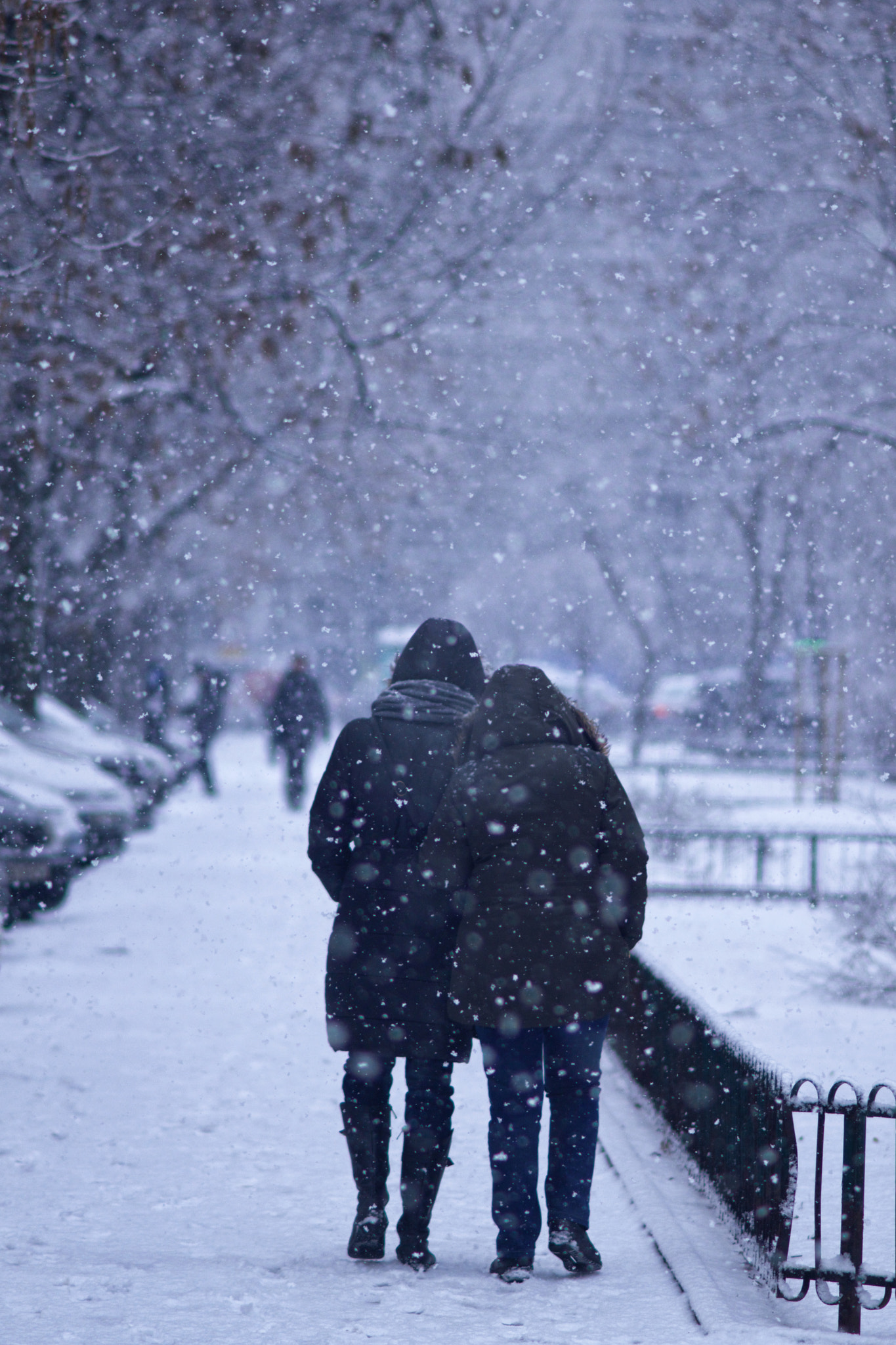 Minolta AF 135mm F2.8 sample photo. Walking in the snow photography