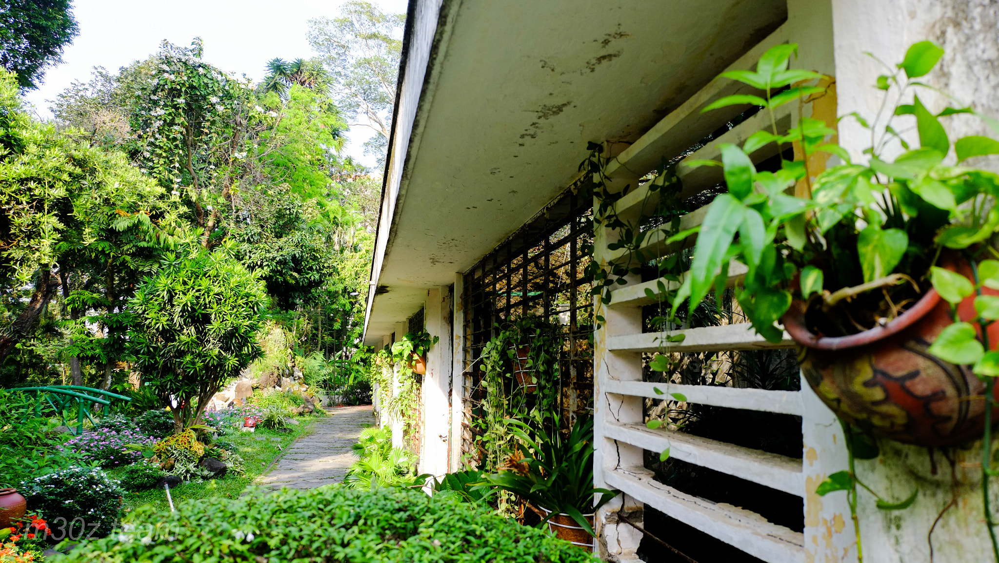 Fujifilm XC 16-50mm F3.5-5.6 OIS II sample photo. Saigon zoo and botanical gảdens, vietnam photography