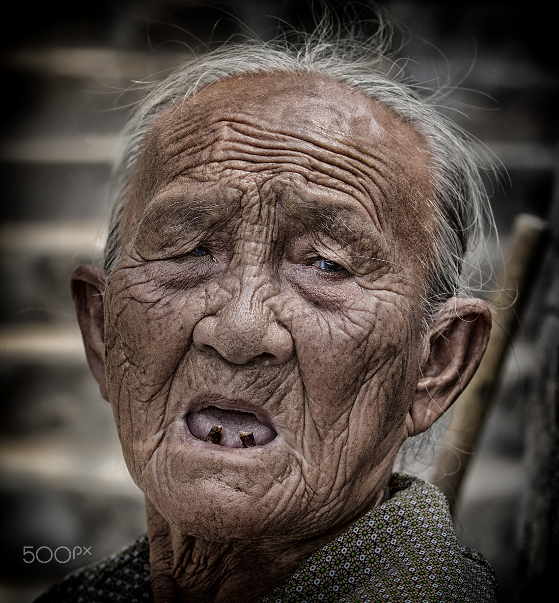 Canon EF 70-200mm F2.8L USM sample photo. Vtnm photography