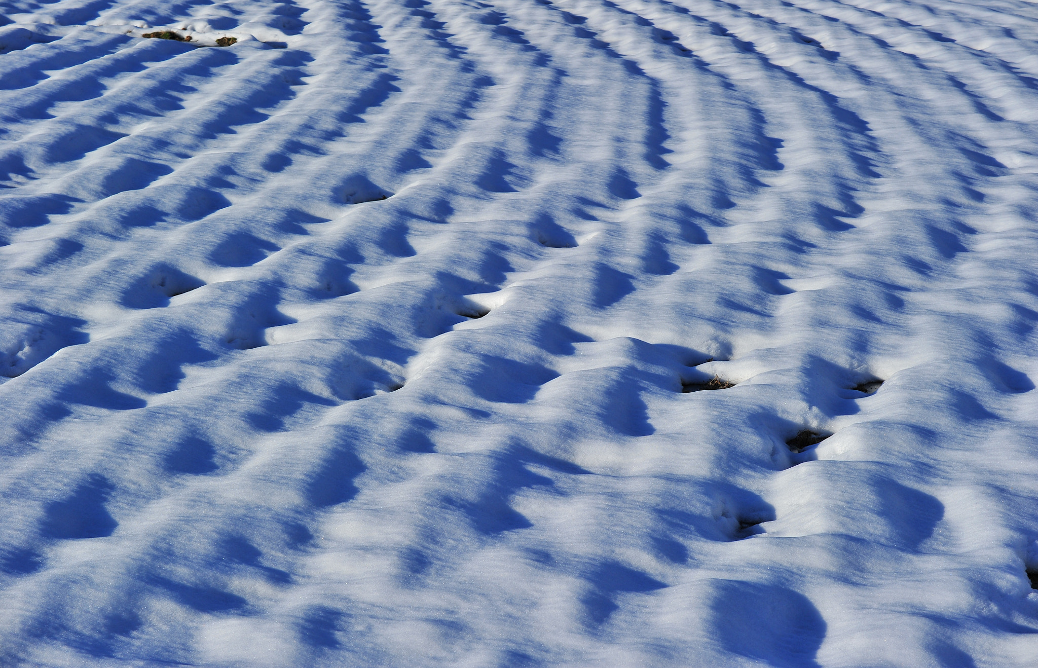 Nikon D3S sample photo. Wave photography