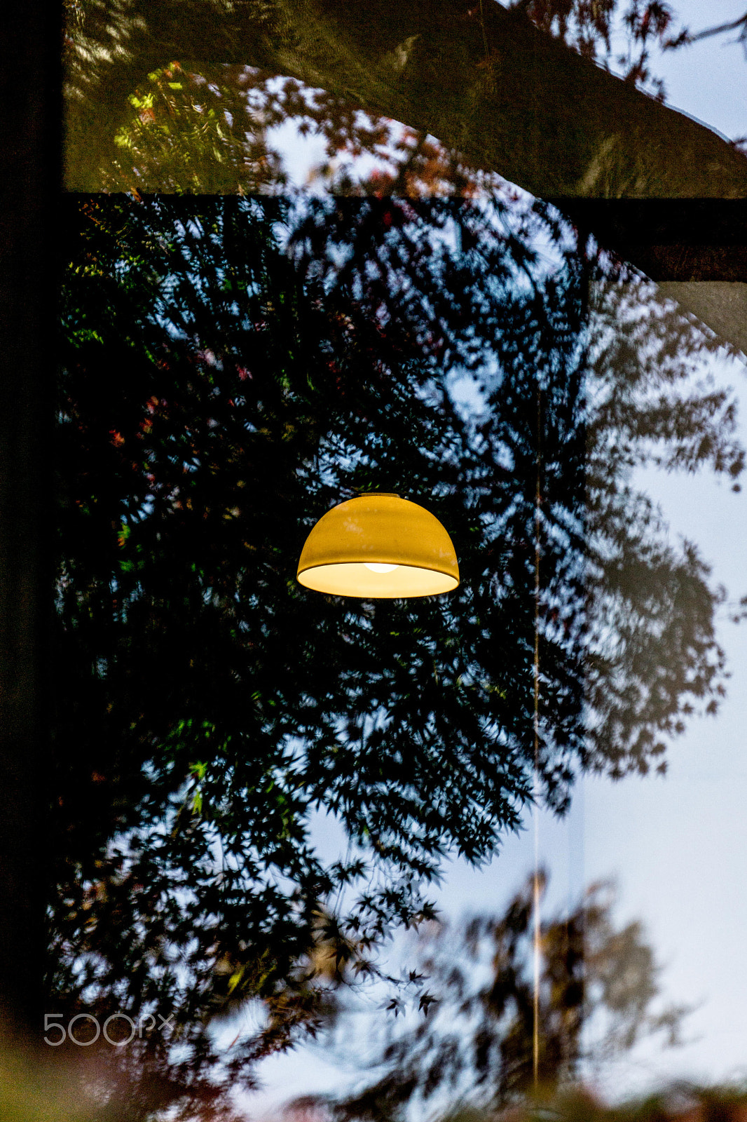 Sony E 18-200mm F3.5-6.3 OSS sample photo. Floating light photography
