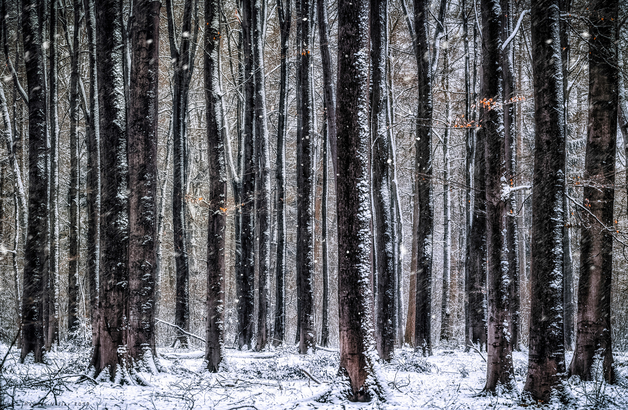Canon EOS-1Ds Mark II sample photo. Winter part ii photography