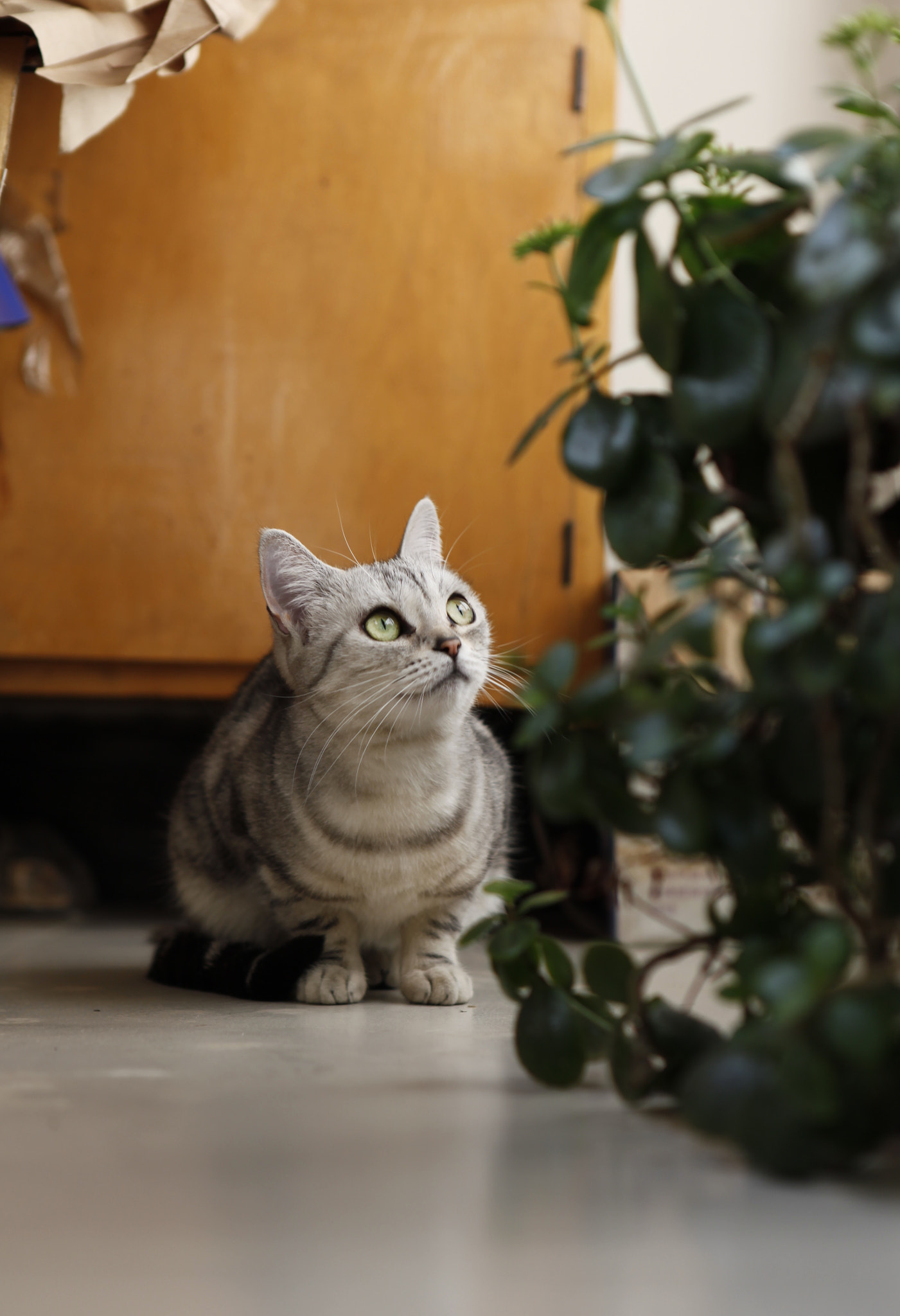 Canon EF 24-70mm F2.8L USM sample photo