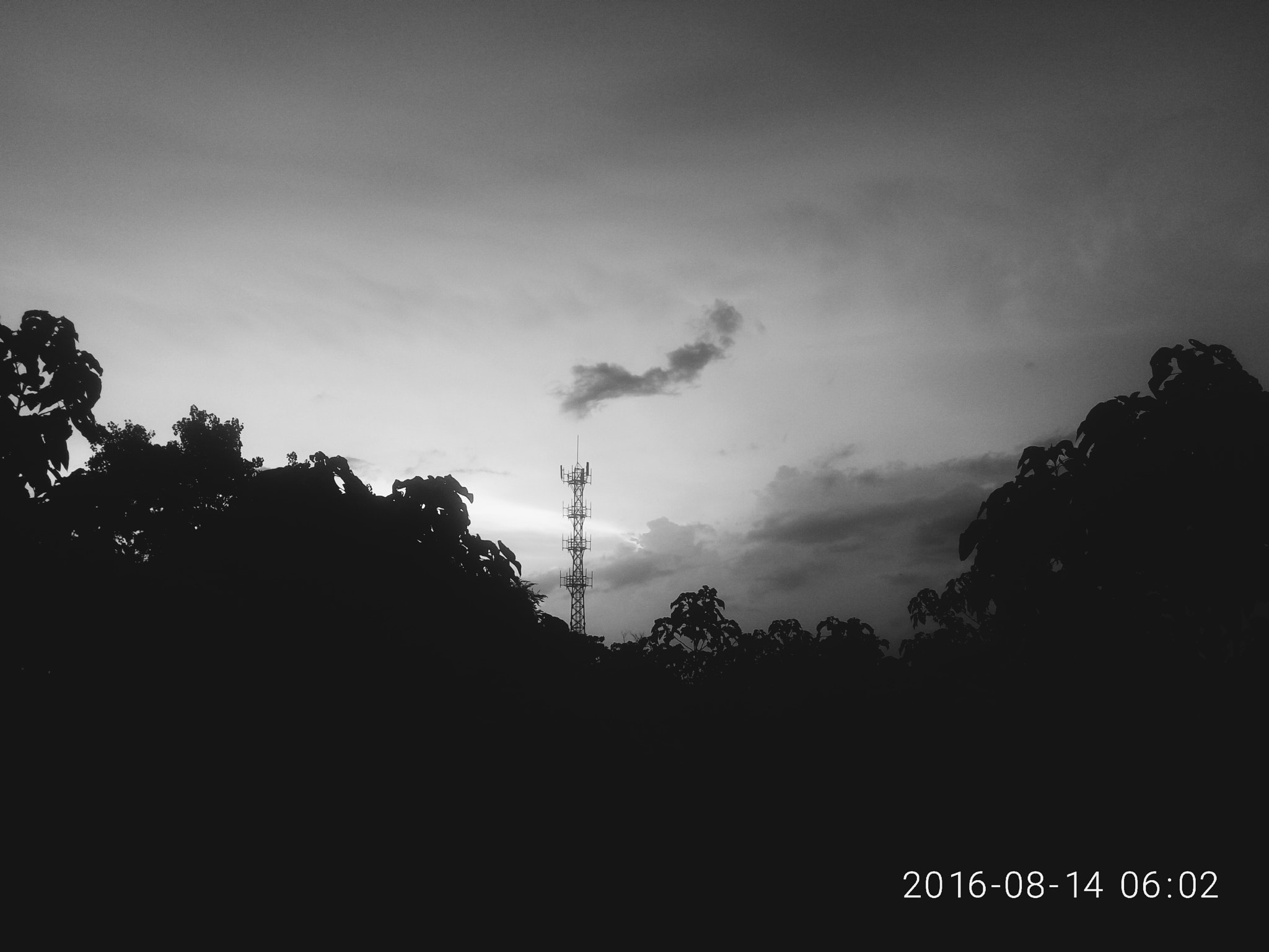 Meizu m2 sample photo