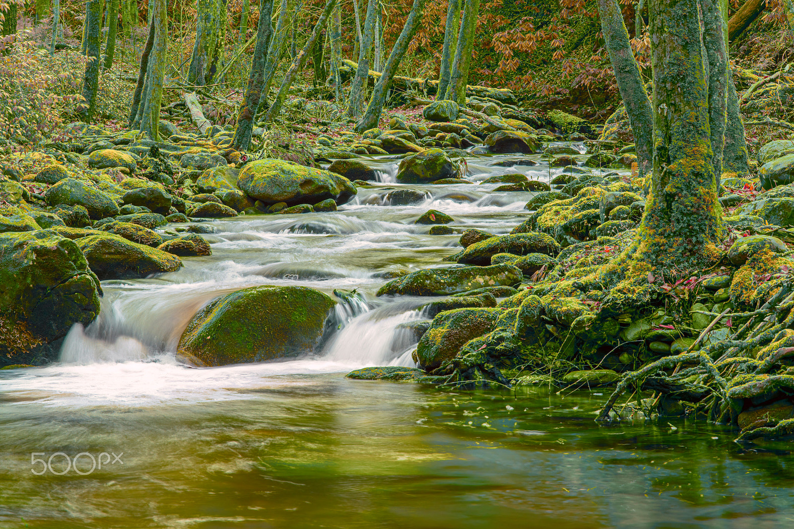 Canon EOS 5DS R sample photo. Little river cascade photography