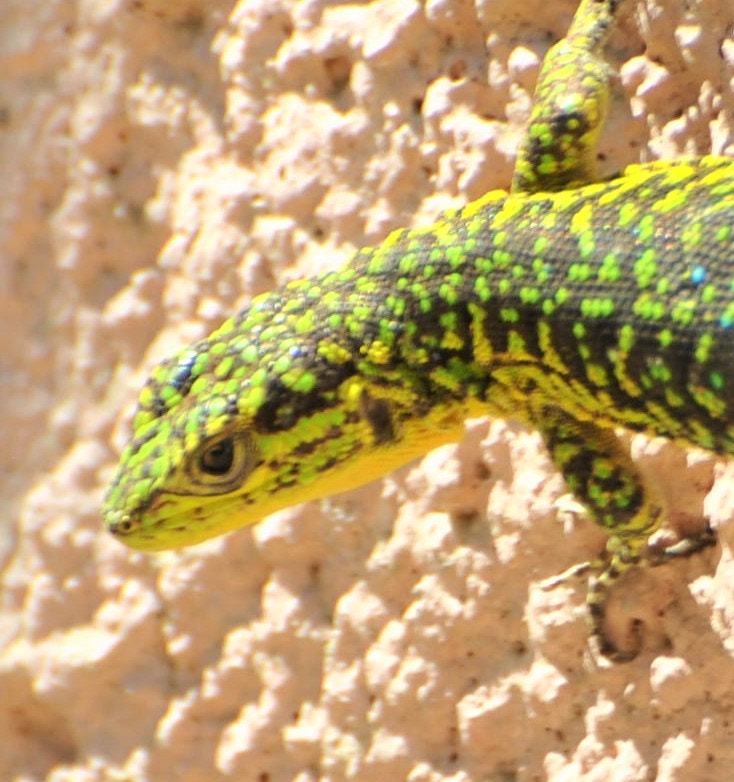 Nikon D3000 sample photo. Cavbeza photography
