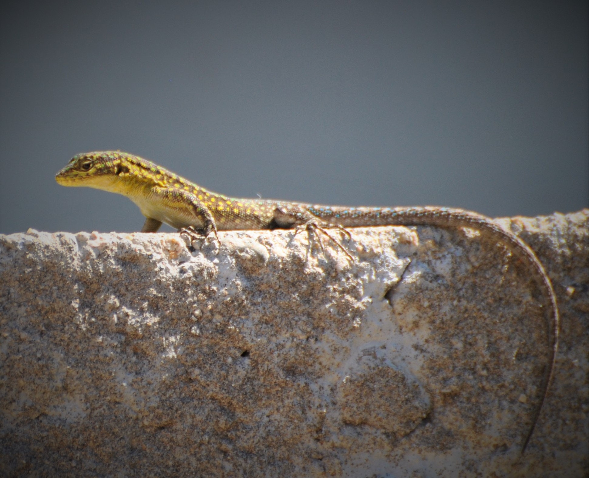 Nikon D3000 sample photo. Equilibrio photography