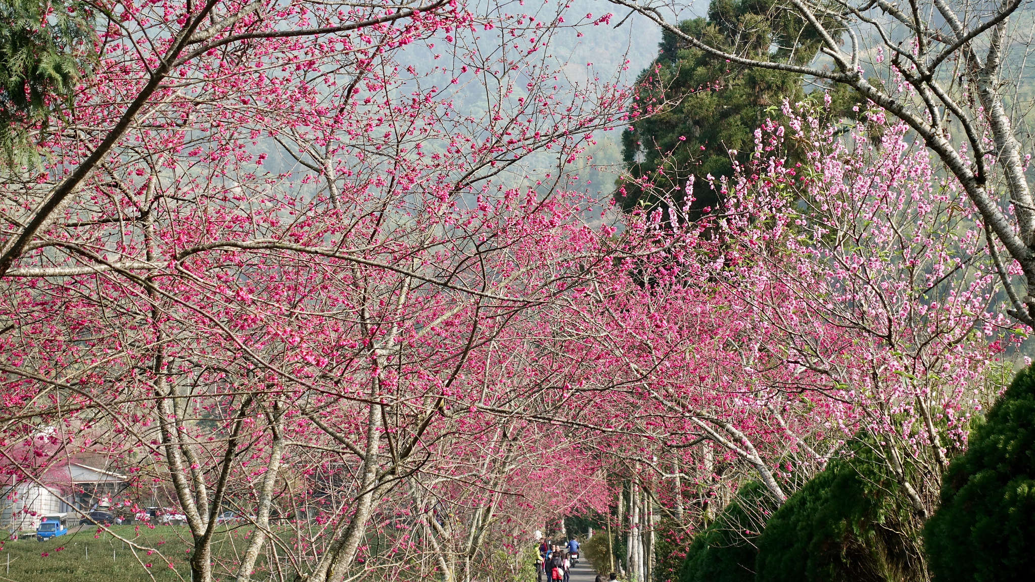 Sony DSC-RX100M5 + Sony 24-70mm F1.8-2.8 sample photo