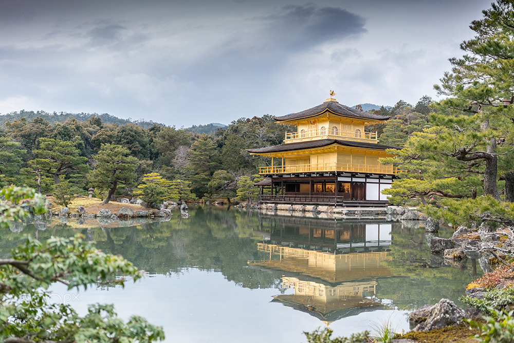 Sony a7R II + Sony Sonnar T* FE 35mm F2.8 ZA sample photo. Kinkaku-ji temple in kyoto photography