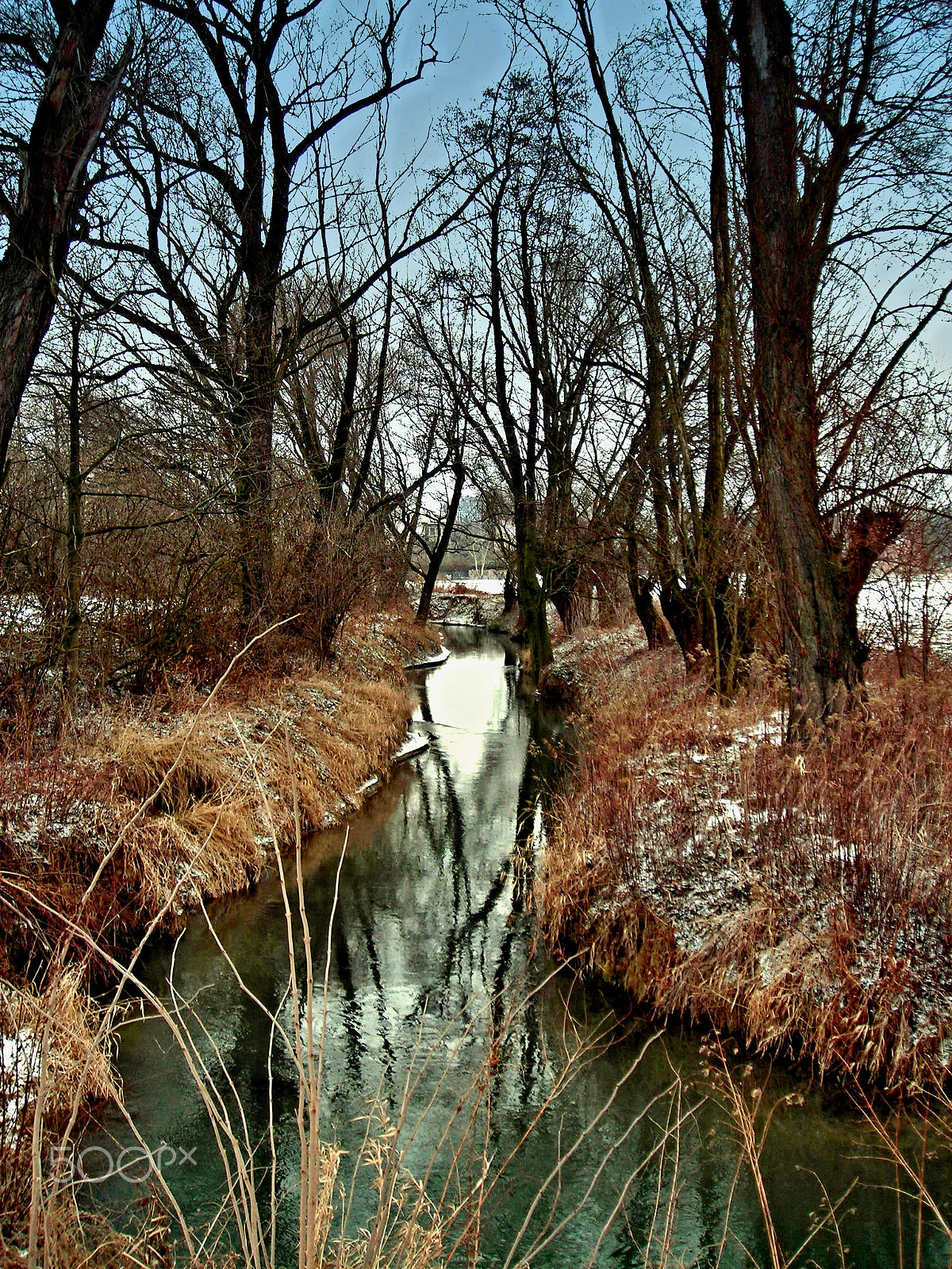 Nikon COOLPIX L3 sample photo. The river 'dłubnia' batowice near krakow poland photography