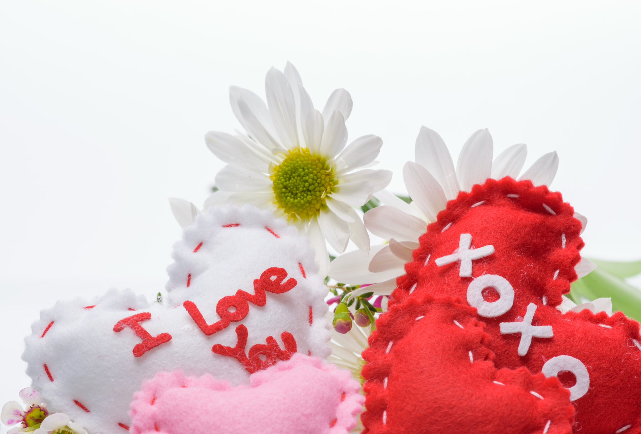 Tokina AT-X Pro 100mm F2.8 Macro sample photo. Daisy love photography
