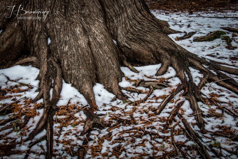Sigma 18-200mm f/3.5-6.3 DC OS sample photo. Img photography