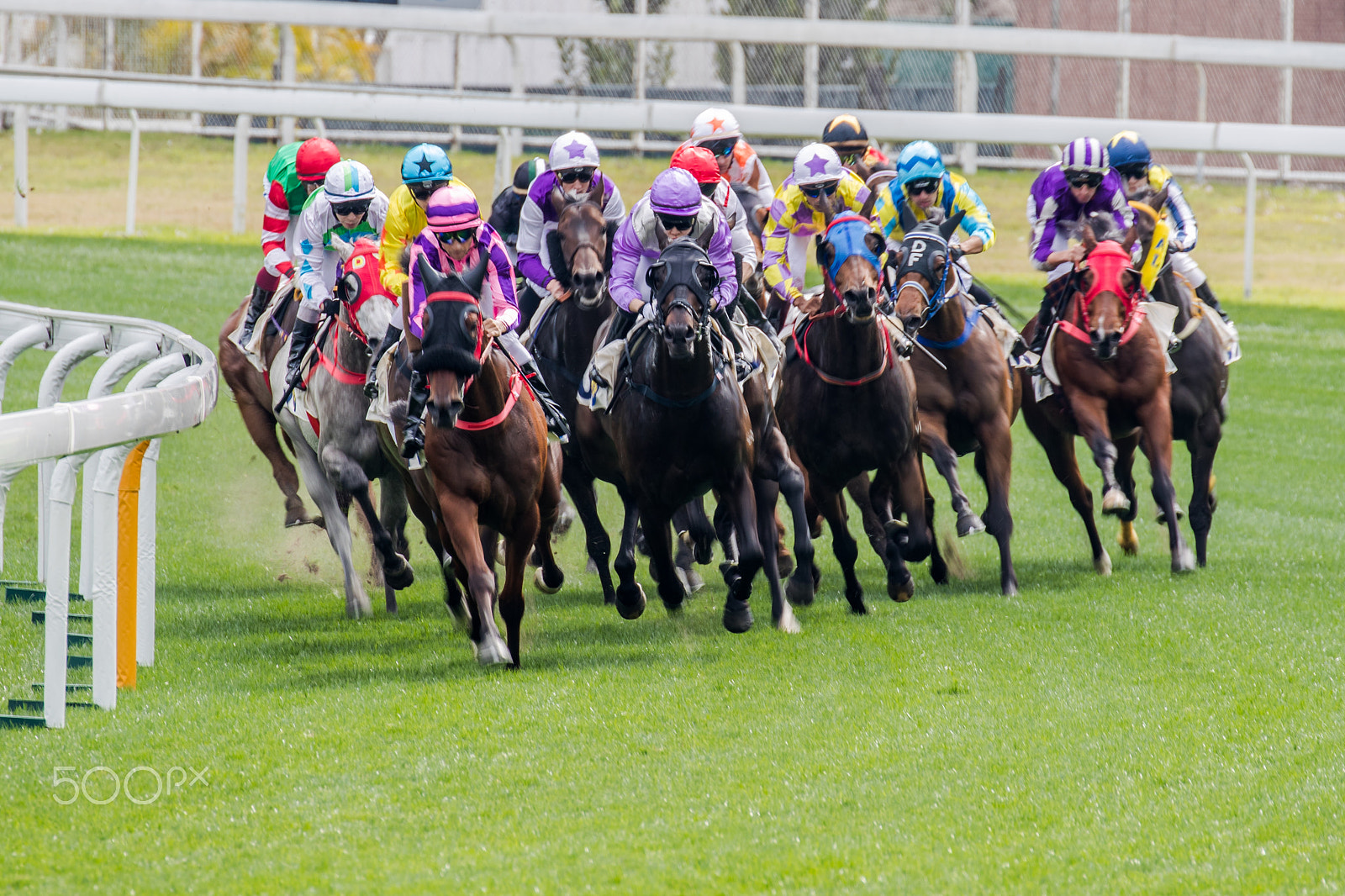 Canon EOS-1D X Mark II sample photo. Horse racing photography