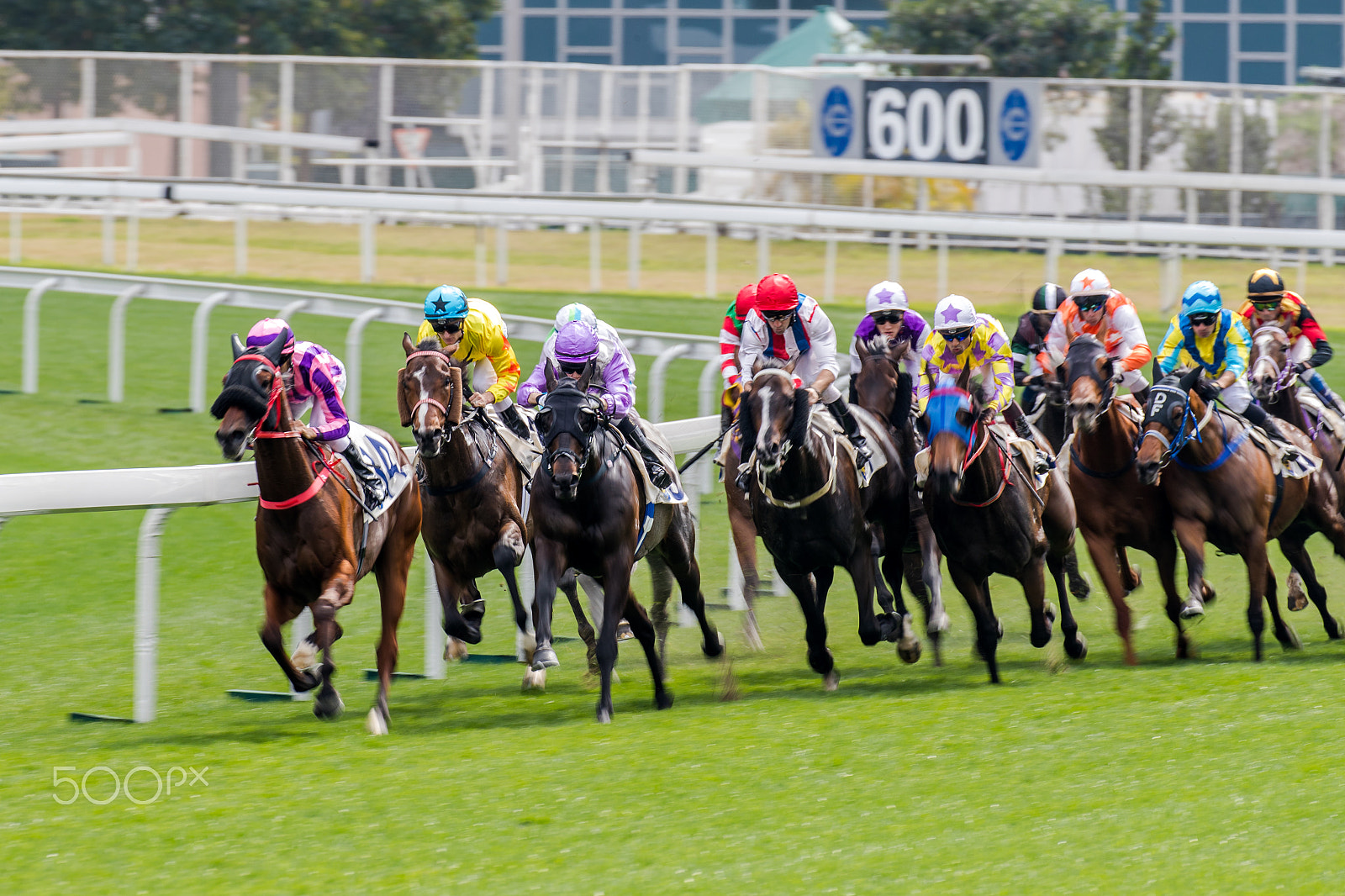 Canon EOS-1D X Mark II sample photo. Horse racing photography
