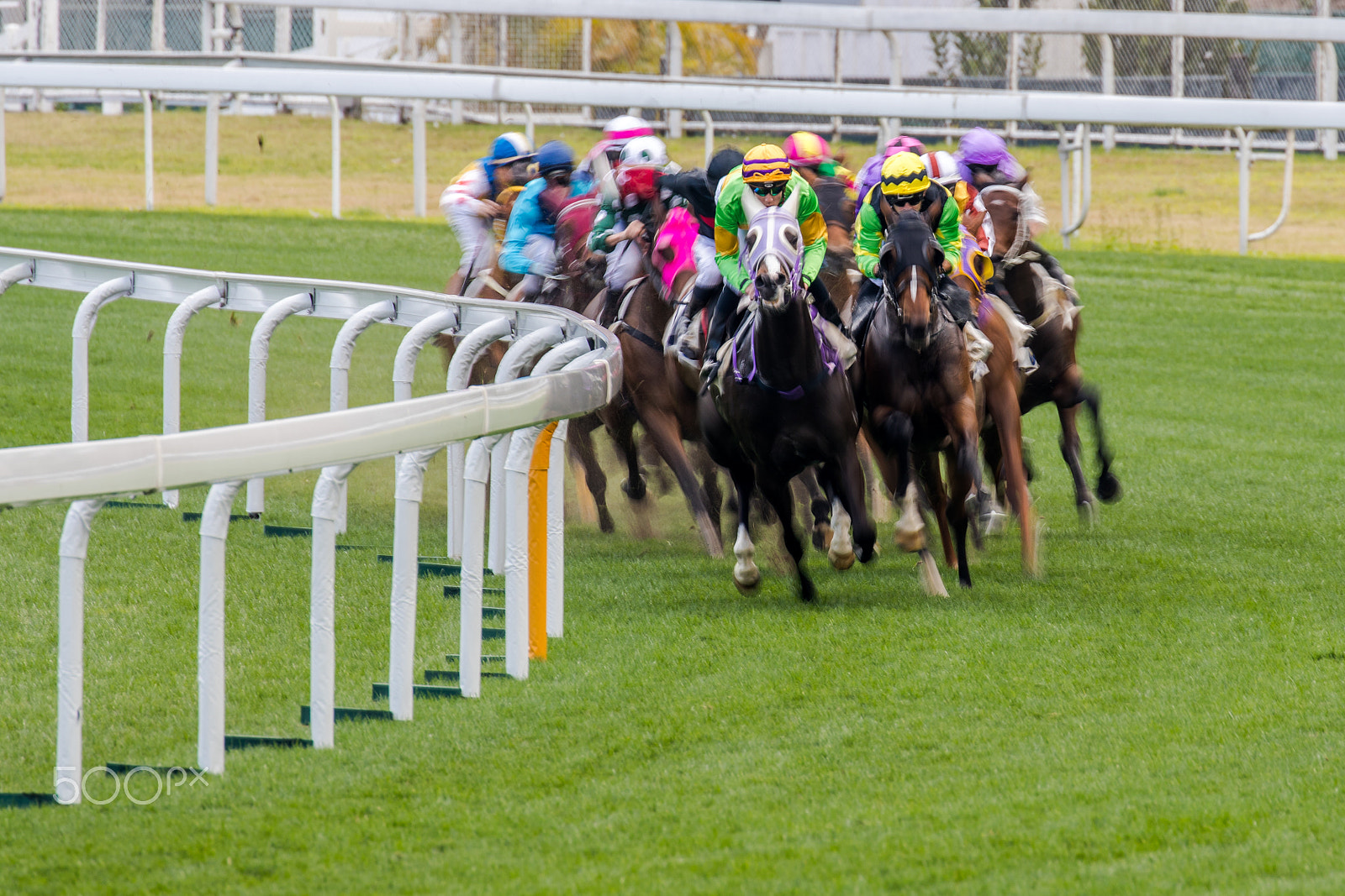 Canon EOS-1D X Mark II sample photo. Horse racing photography