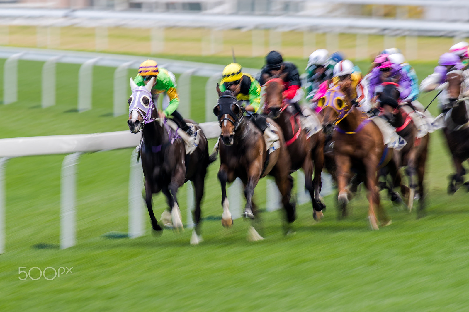 Canon EOS-1D X Mark II sample photo. Horse racing photography