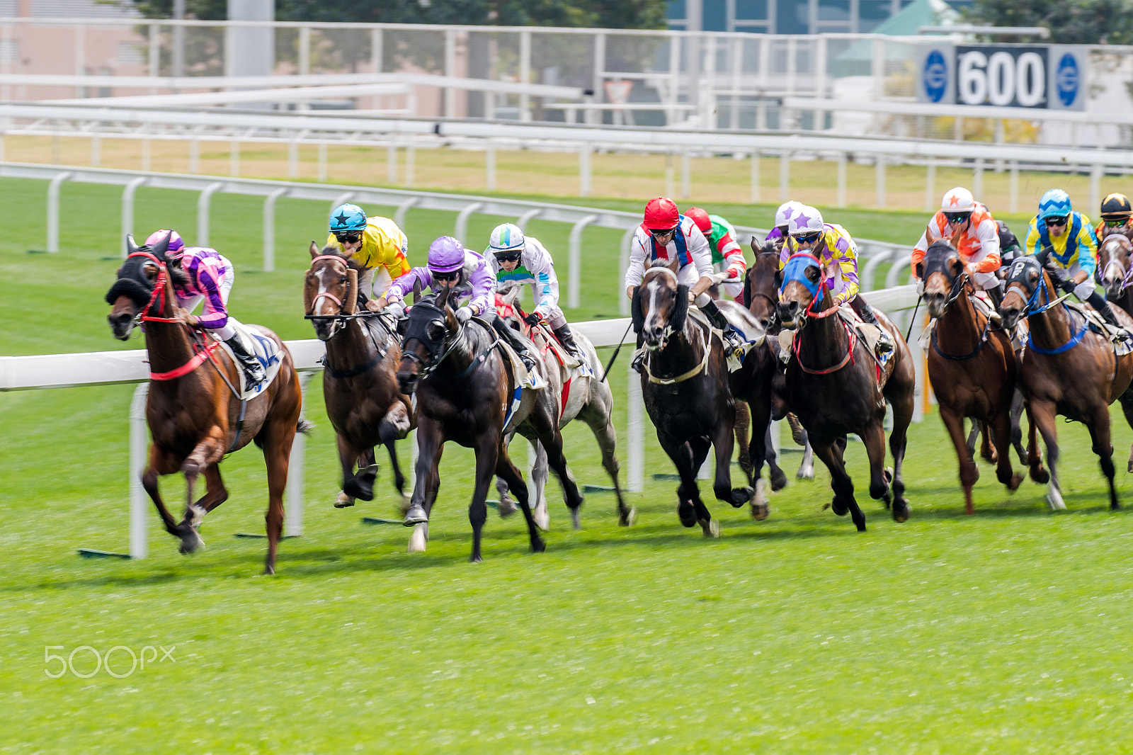 Canon EOS-1D X Mark II sample photo. Horse racing photography