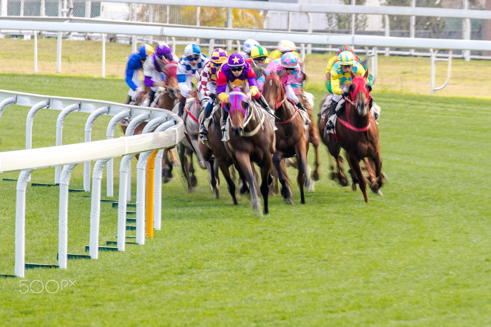 Canon EOS-1D X Mark II sample photo. Horse racing photography