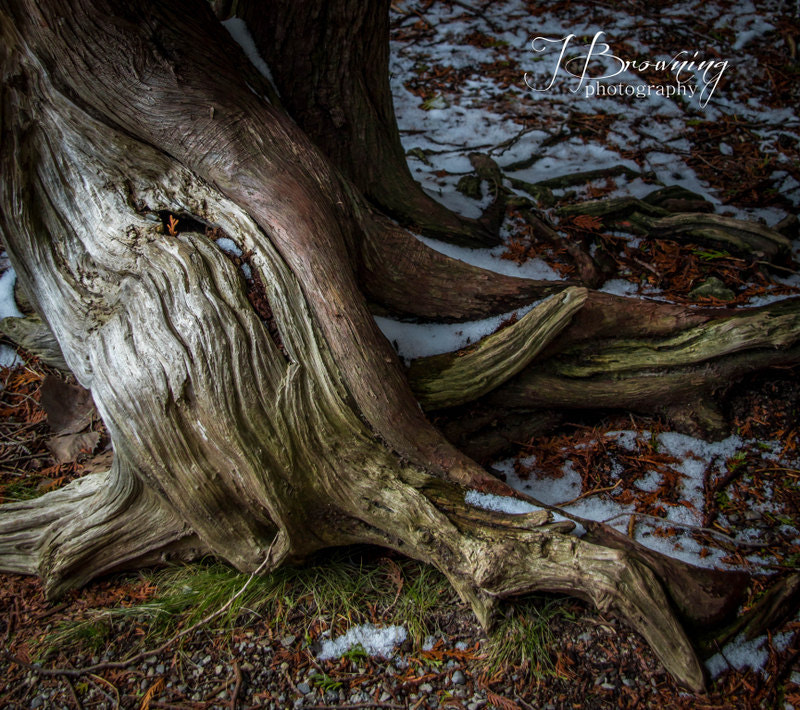 Sigma 18-200mm f/3.5-6.3 DC OS sample photo. Img photography