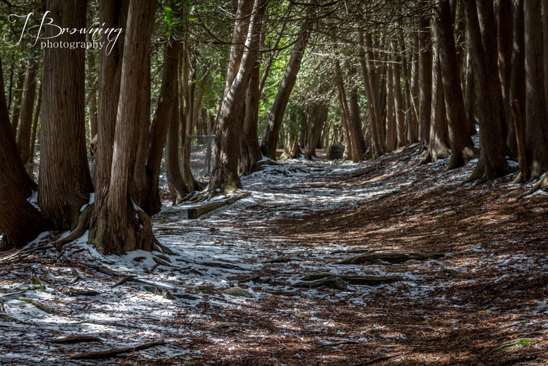 Sigma 18-200mm f/3.5-6.3 DC OS sample photo. Img photography