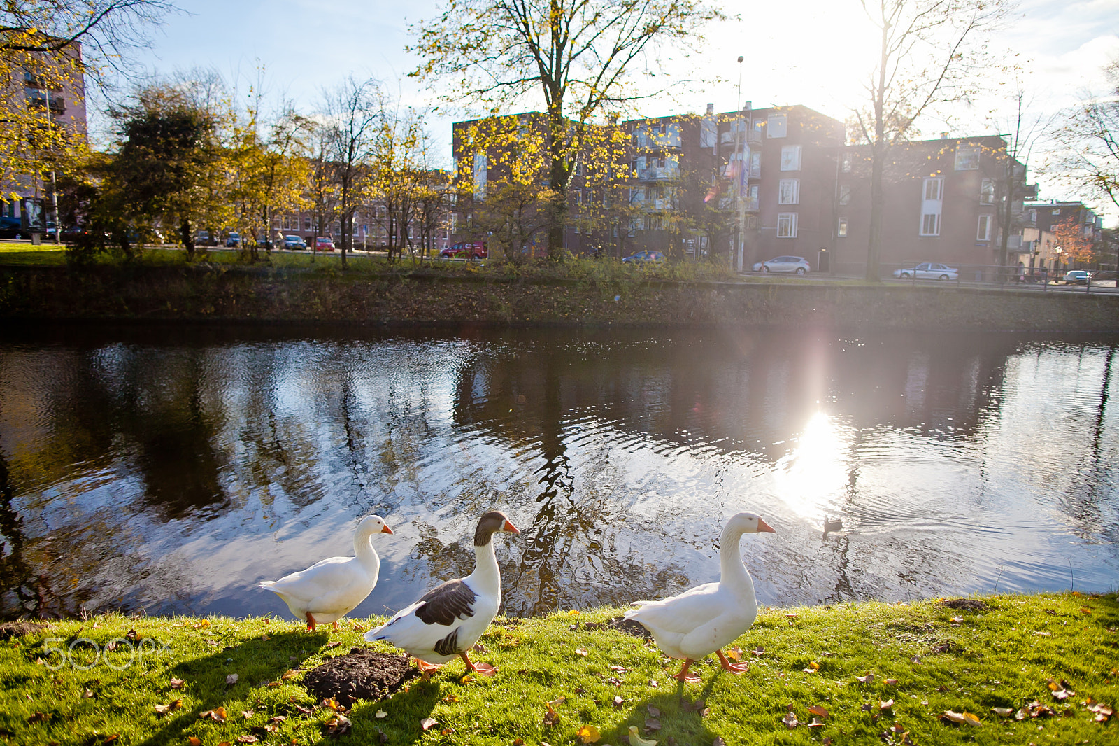 Canon EF 24mm F1.4L II USM sample photo. Amsterdam photography