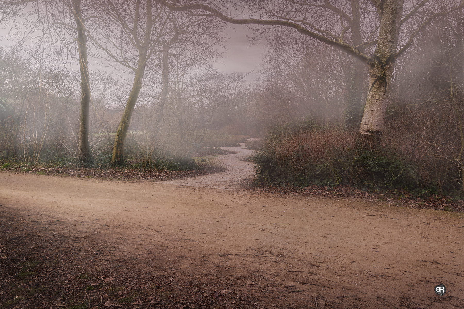 Sigma 17-50mm F2.8 EX DC OS HSM sample photo. My magic land photography