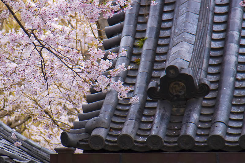 Canon EOS 40D + Canon EF 24-105mm F4L IS USM sample photo. Monkdwellings photography