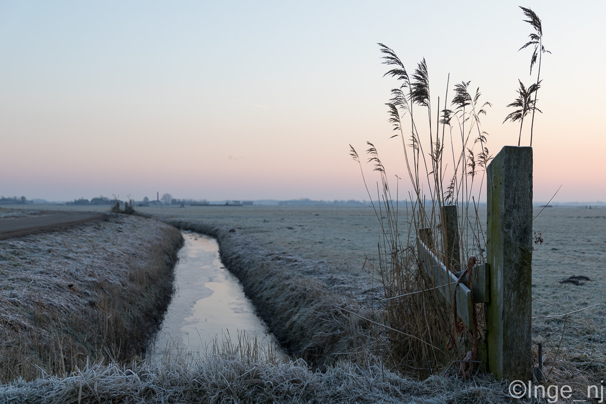 Canon EOS 5D Mark IV + Sigma 24-105mm f/4 DG OS HSM | A sample photo. Sunrise in the polder photography