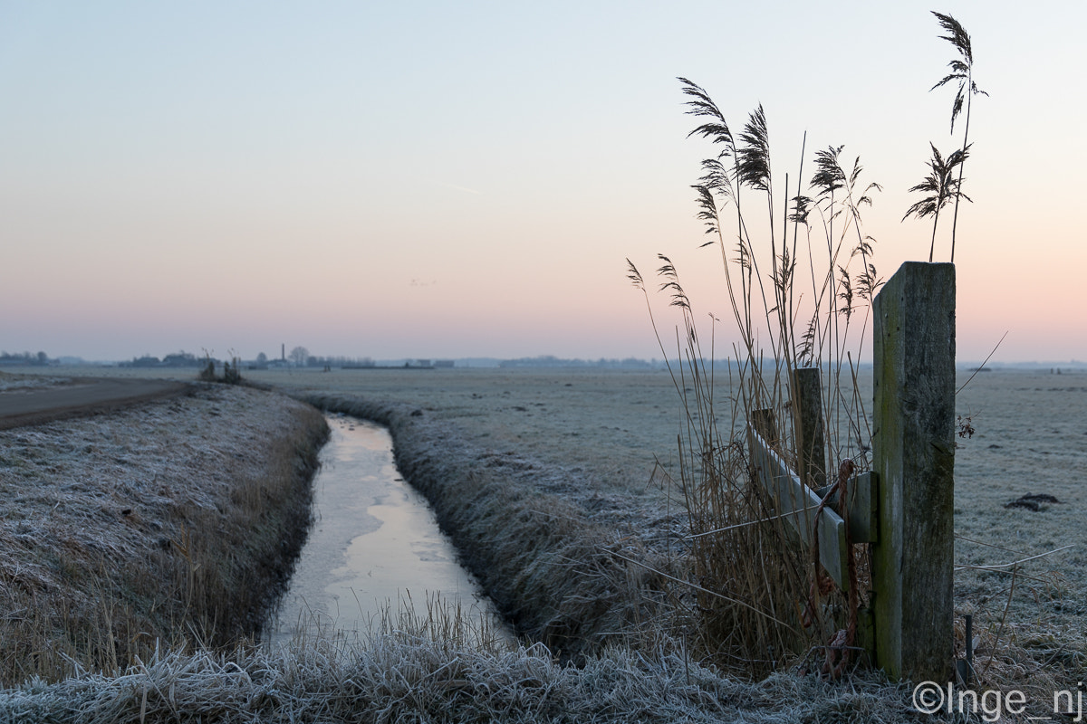 Sigma 24-105mm f/4 DG OS HSM | A sample photo. Sunrise in the polder photography