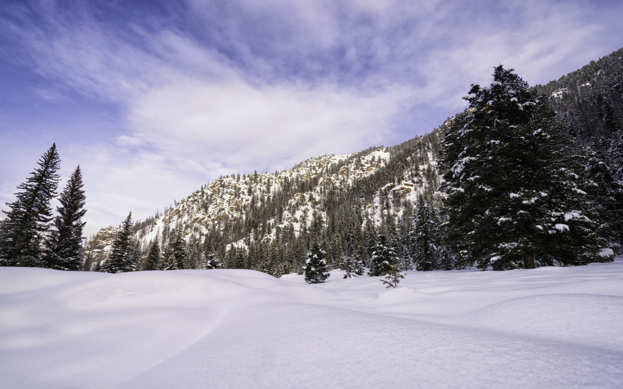 Nikon D3200 sample photo. Snowy colorado day photography