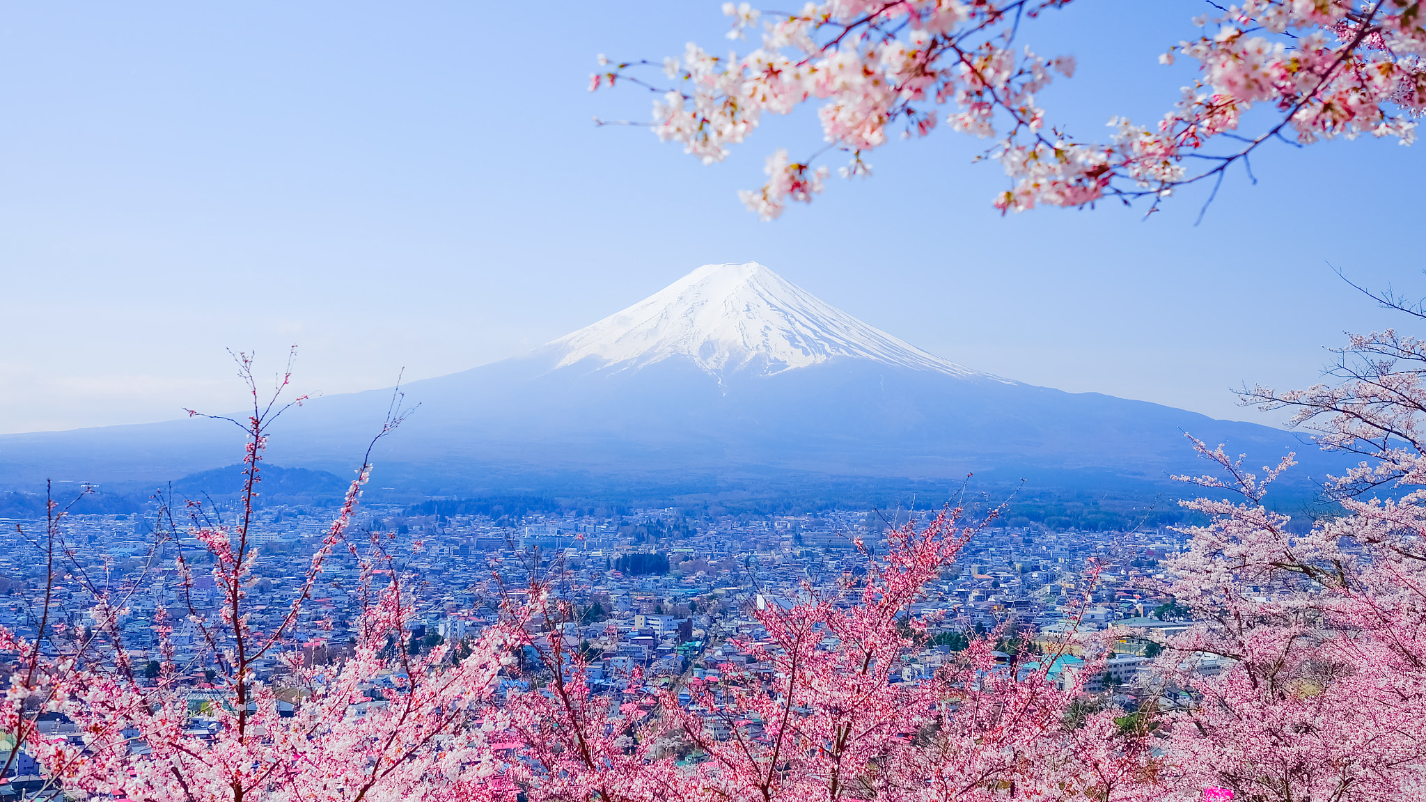 Fujifilm X-A2 + Fujifilm XF 23mm F1.4 R sample photo. Mt. fuji with cherry blossom ,japan photography