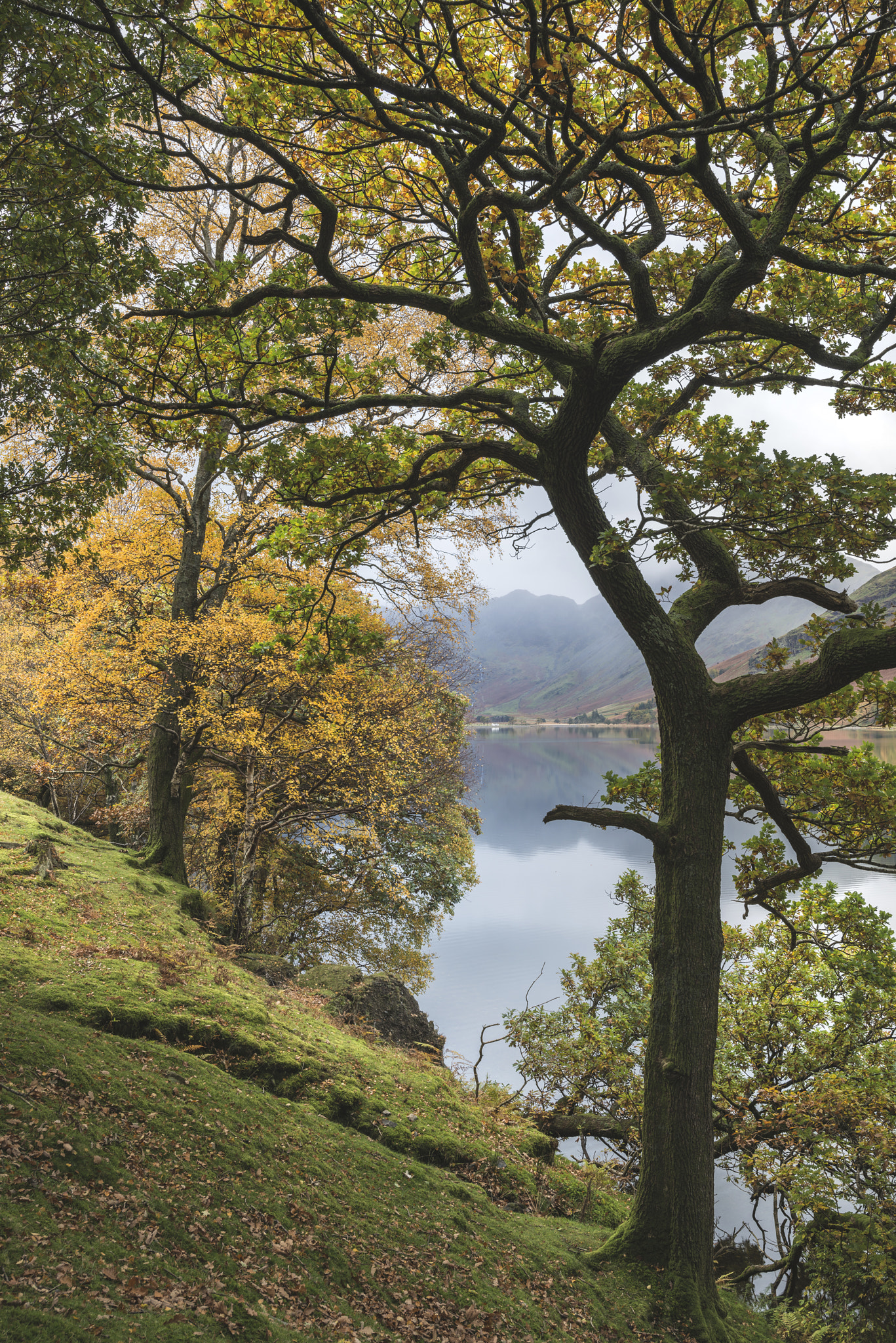 Nikon AF-S Nikkor 18-35mm F3.5-4.5G ED sample photo. Beautiful autumn fall landscape image of lake buttermere in lake photography
