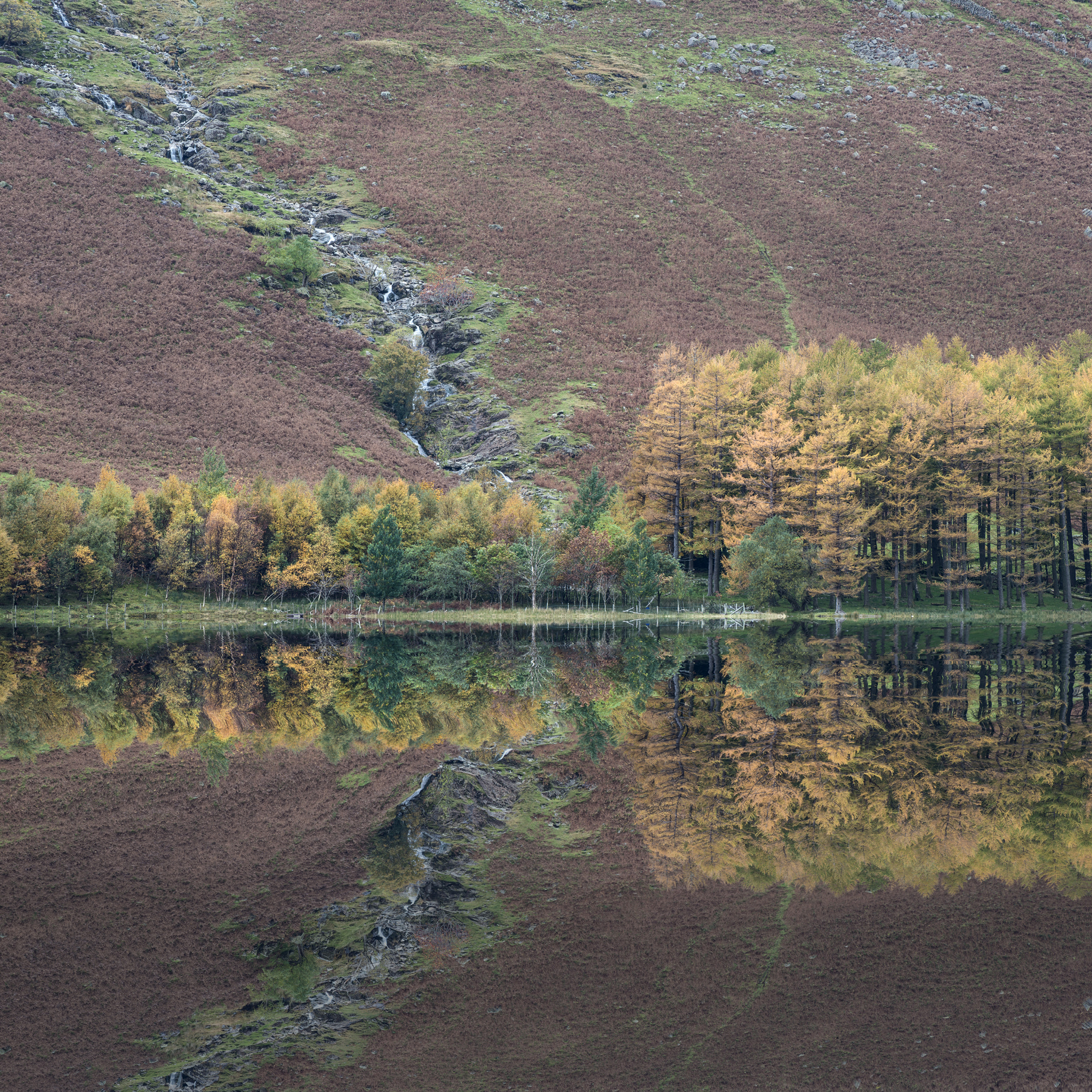 Nikon D800 sample photo. Beautiful autumn fall landscape image of lake buttermere in lake photography