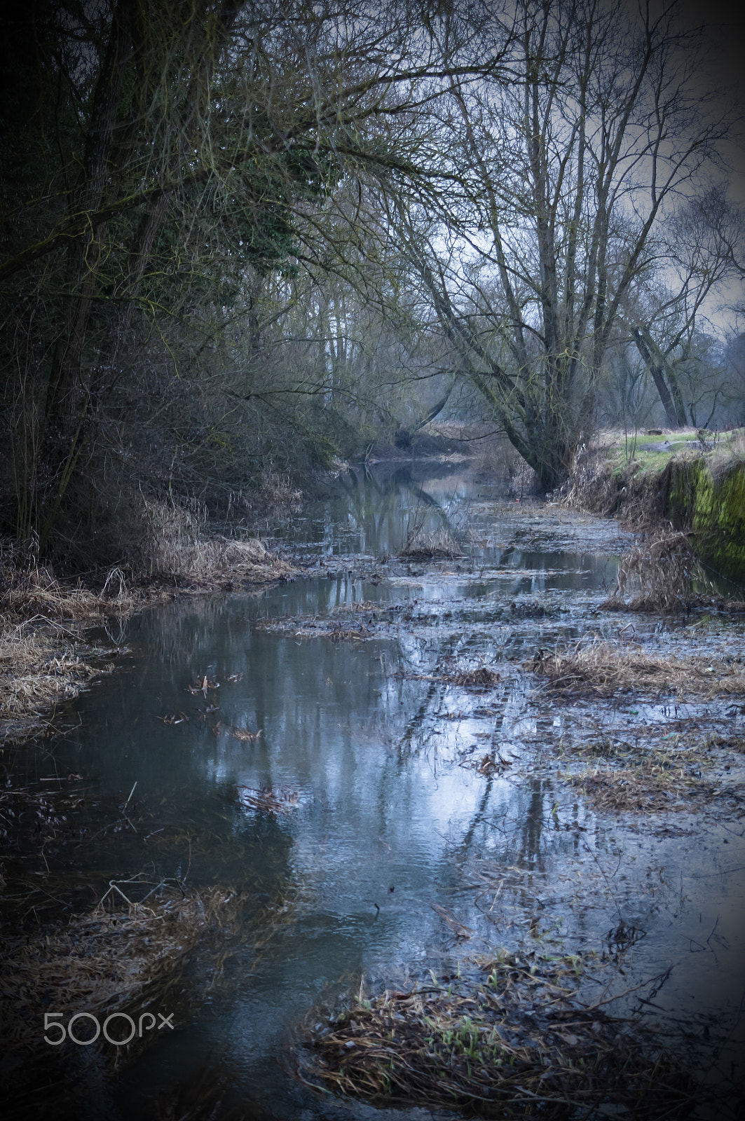 Nikon D300S sample photo. Winter reflections photography