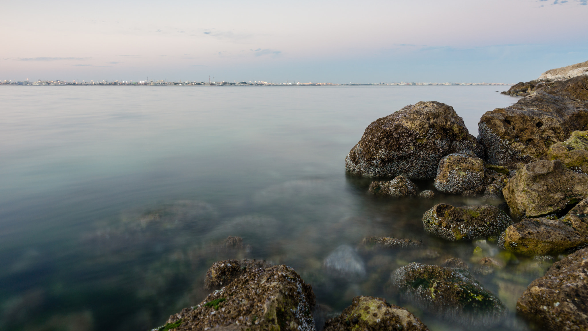 Sony SLT-A99V sample photo