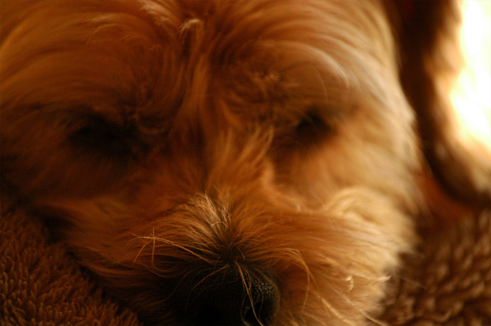 Nikon D70s sample photo. "love" photography