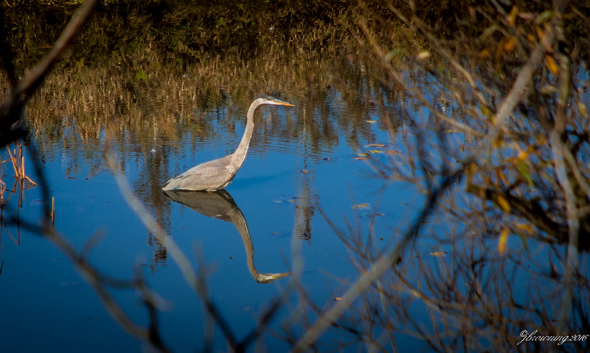 Sigma 18-200mm f/3.5-6.3 DC OS sample photo. Img photography