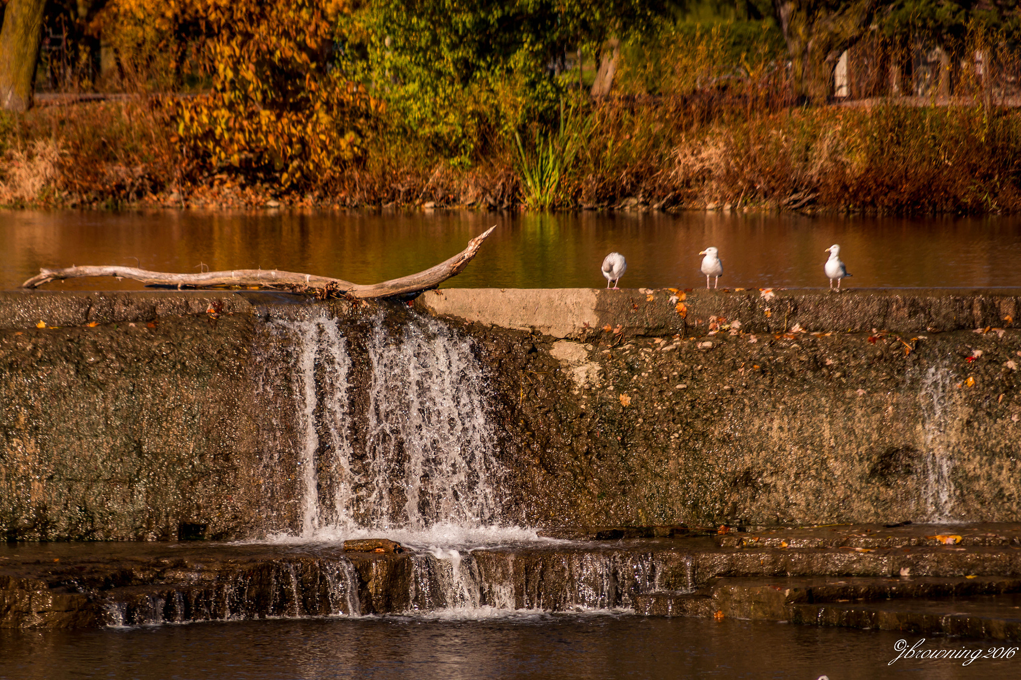 Sigma 18-200mm f/3.5-6.3 DC OS sample photo. Img photography