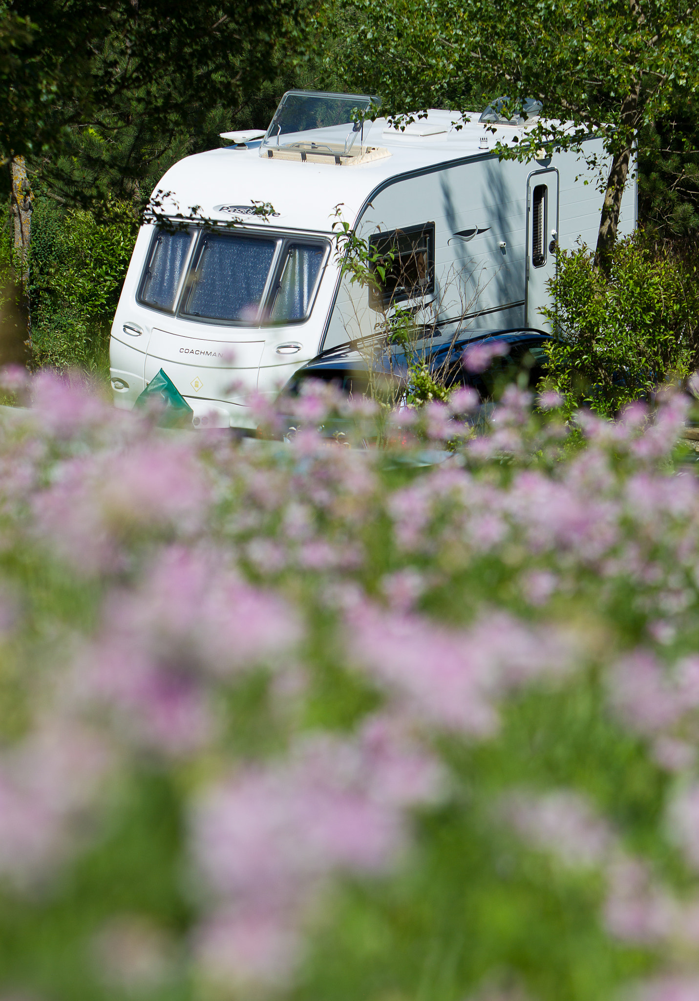 Canon EOS-1D Mark IV + Canon EF 70-200mm F2.8L IS USM sample photo. Camping with a caravan photography