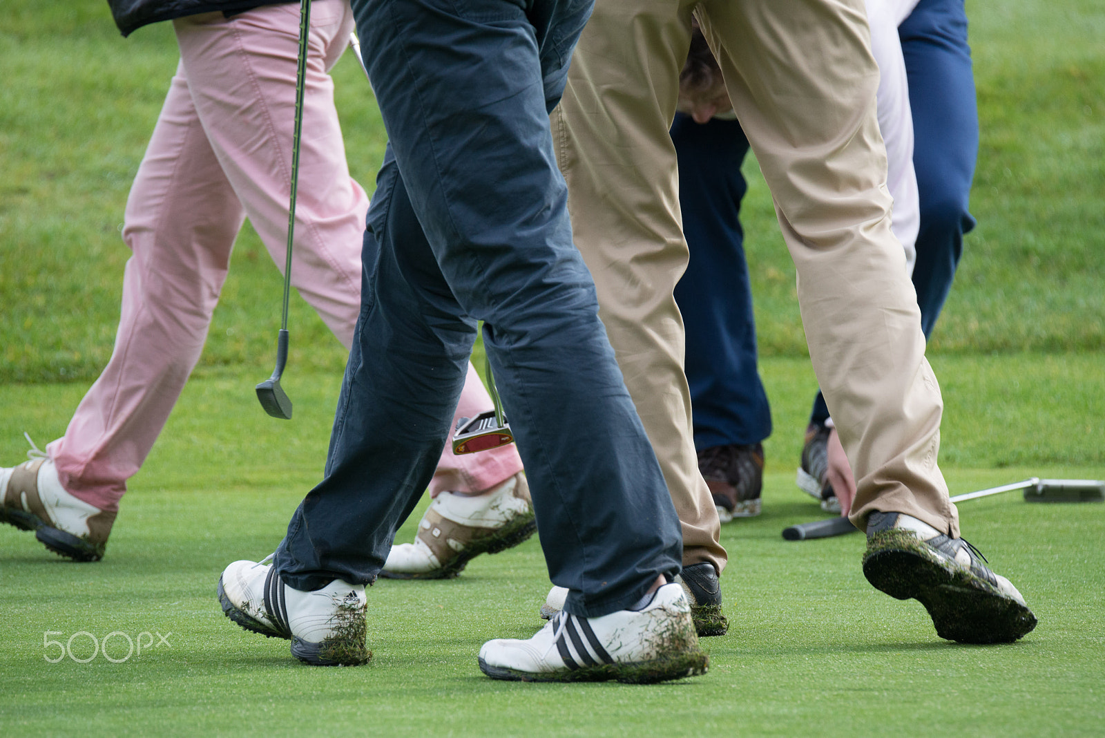 Nikon D800 sample photo. Golf photography
