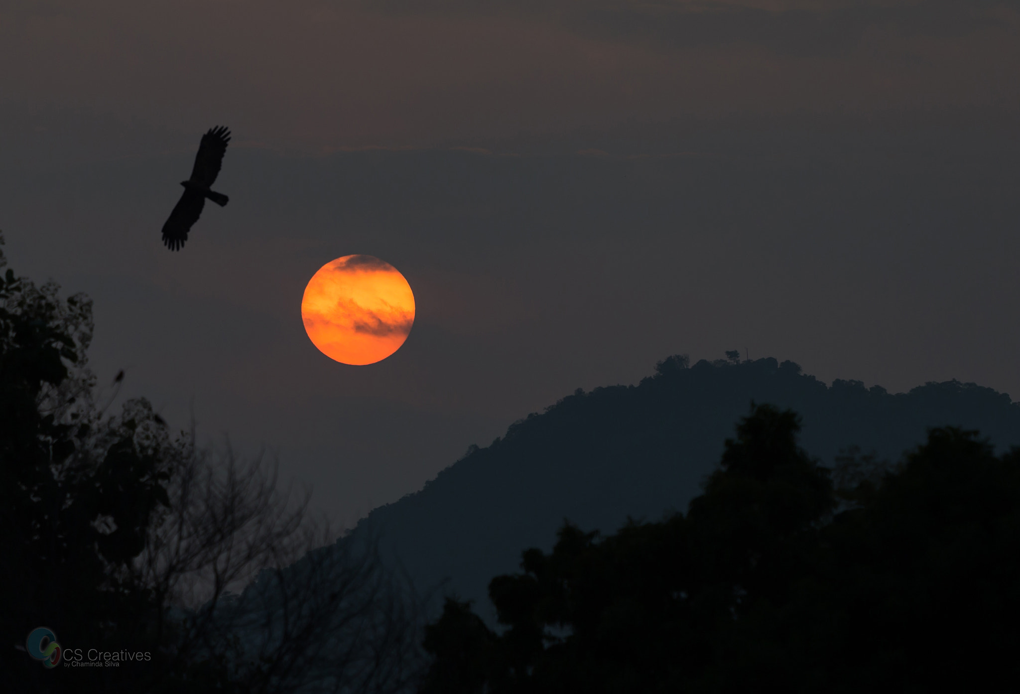 Canon EF 70-200mm F4L IS USM sample photo. Sunset photography