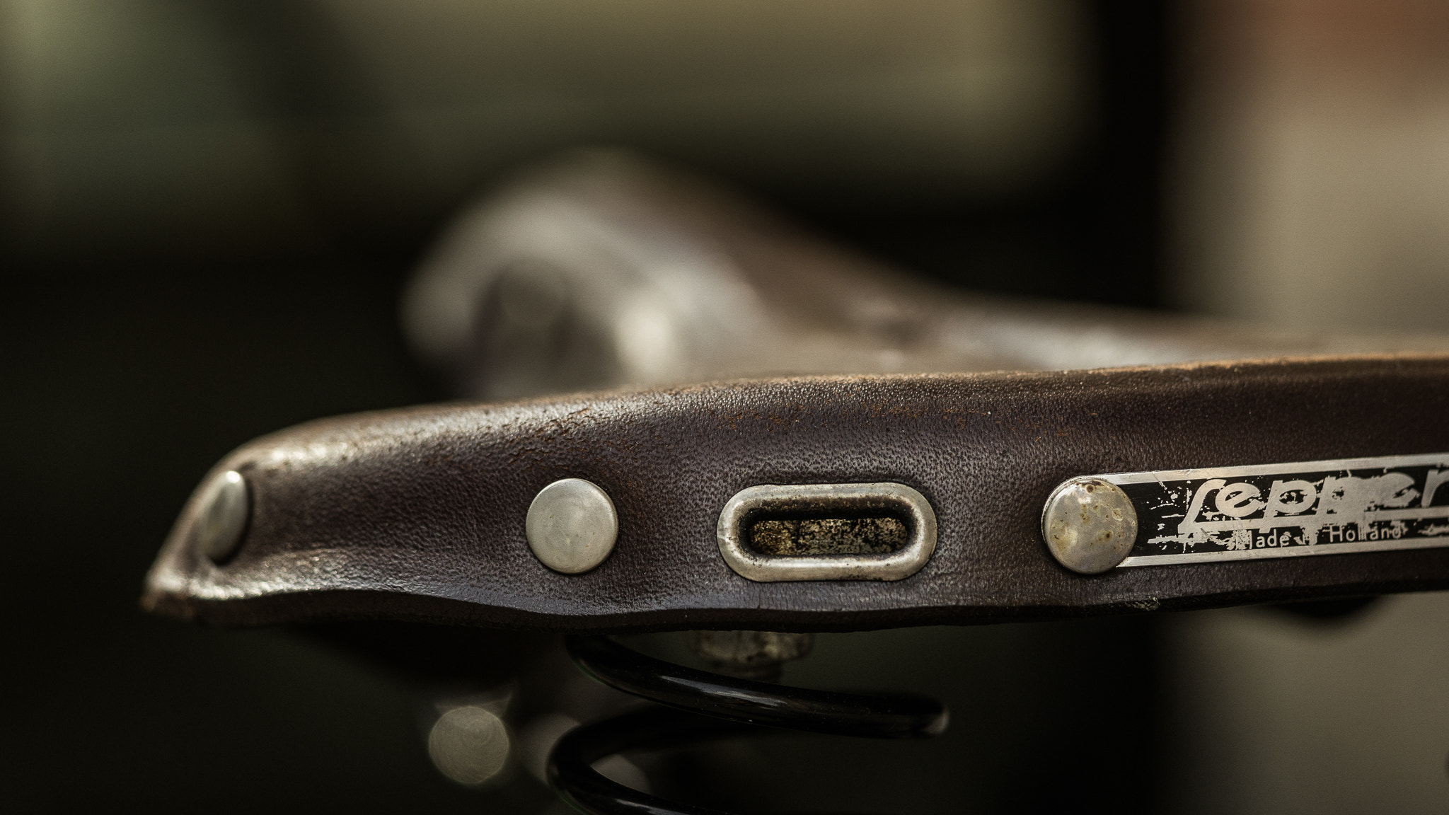 Sony a6000 + Sony FE 90mm F2.8 Macro G OSS sample photo. Made in holland. photography