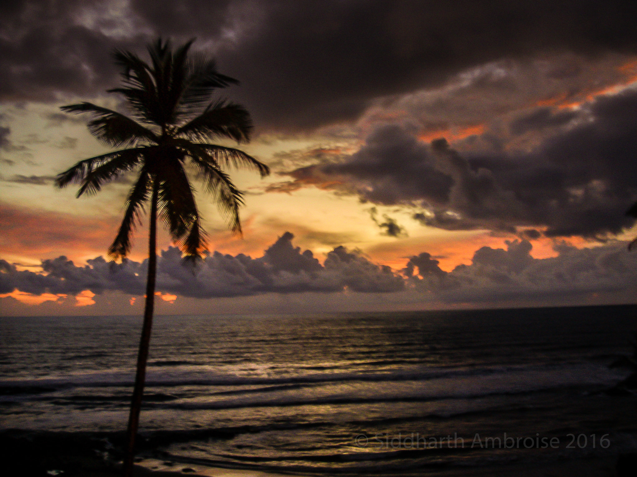 Olympus FE310,X840,C530 sample photo. Sunsets in goa photography
