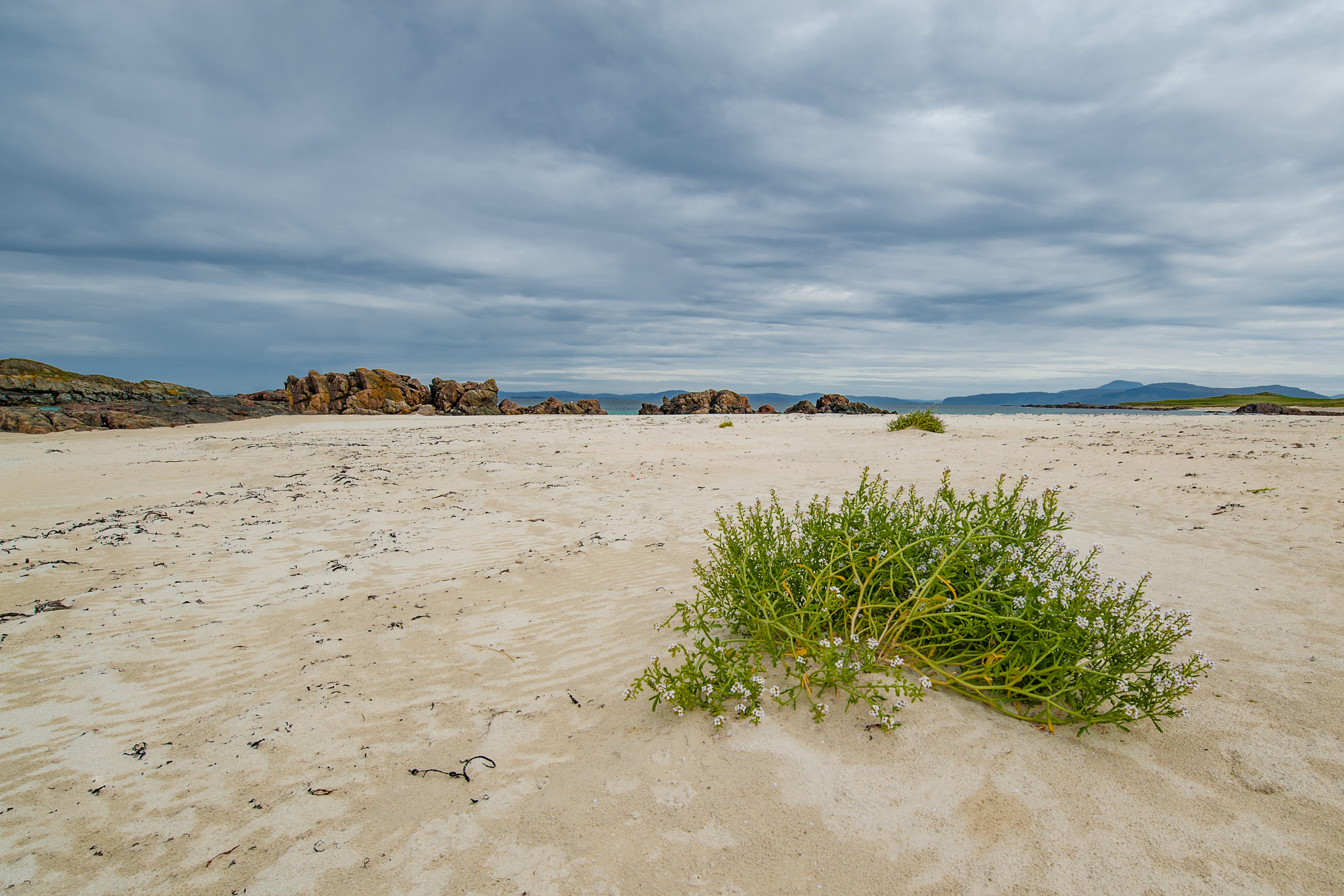 Nikon D3 sample photo. Isle of iona beach on a cloudy day photography