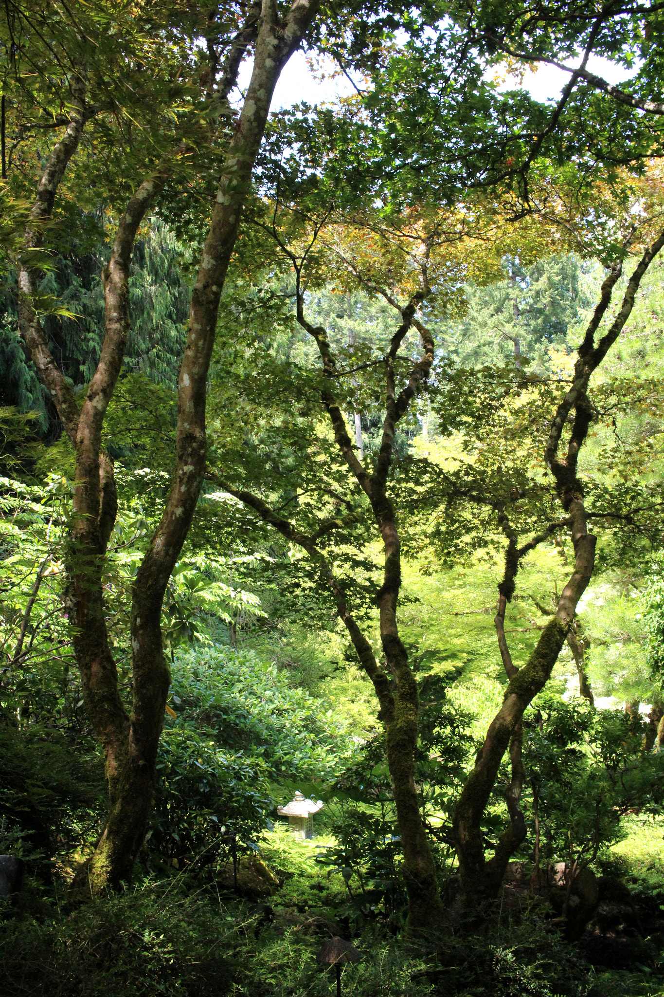 Canon EF-S 24mm F2.8 STM sample photo. Japanese garden photography