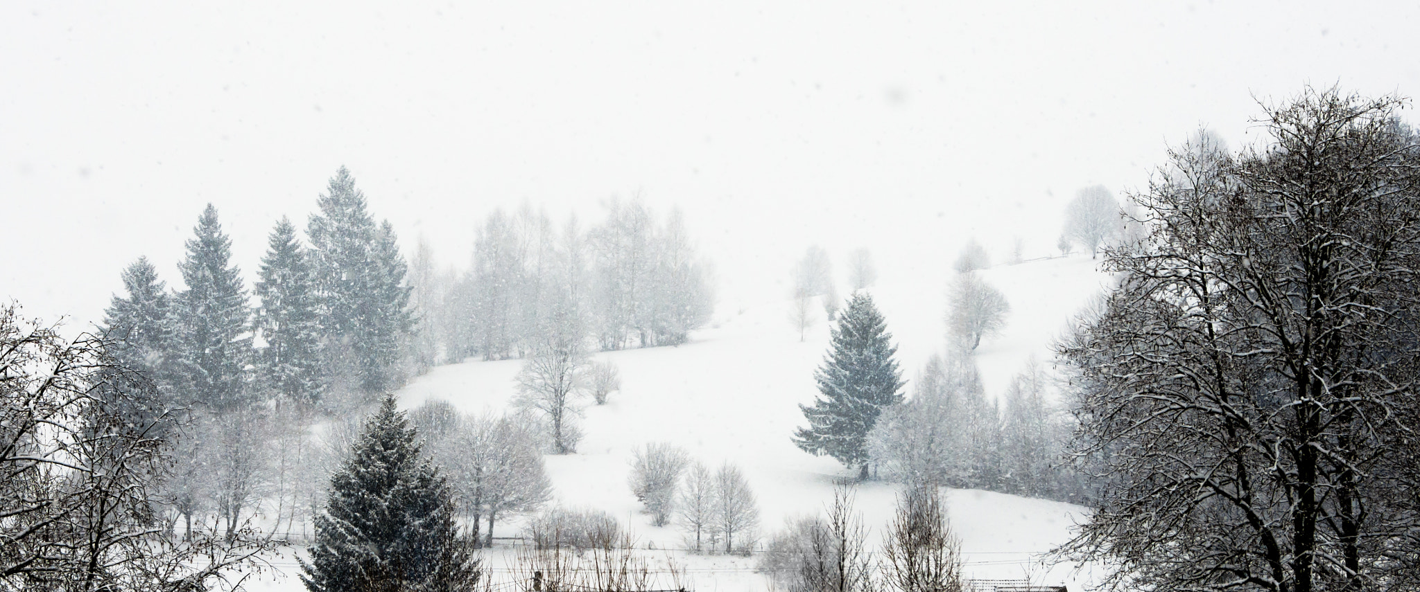 Nikon D7200 sample photo. Winterland photography