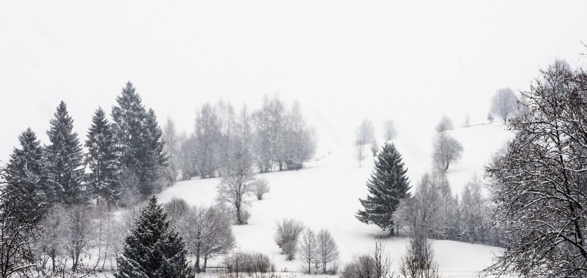 Nikon D7200 sample photo. Winterland 1 photography