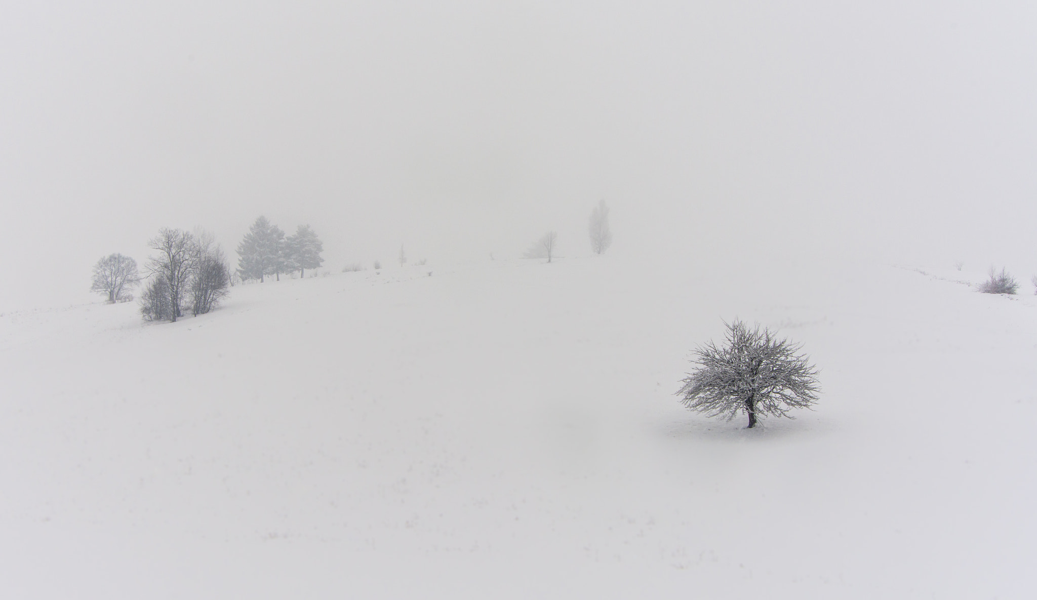 Nikon D7200 sample photo. Winterland 3 photography