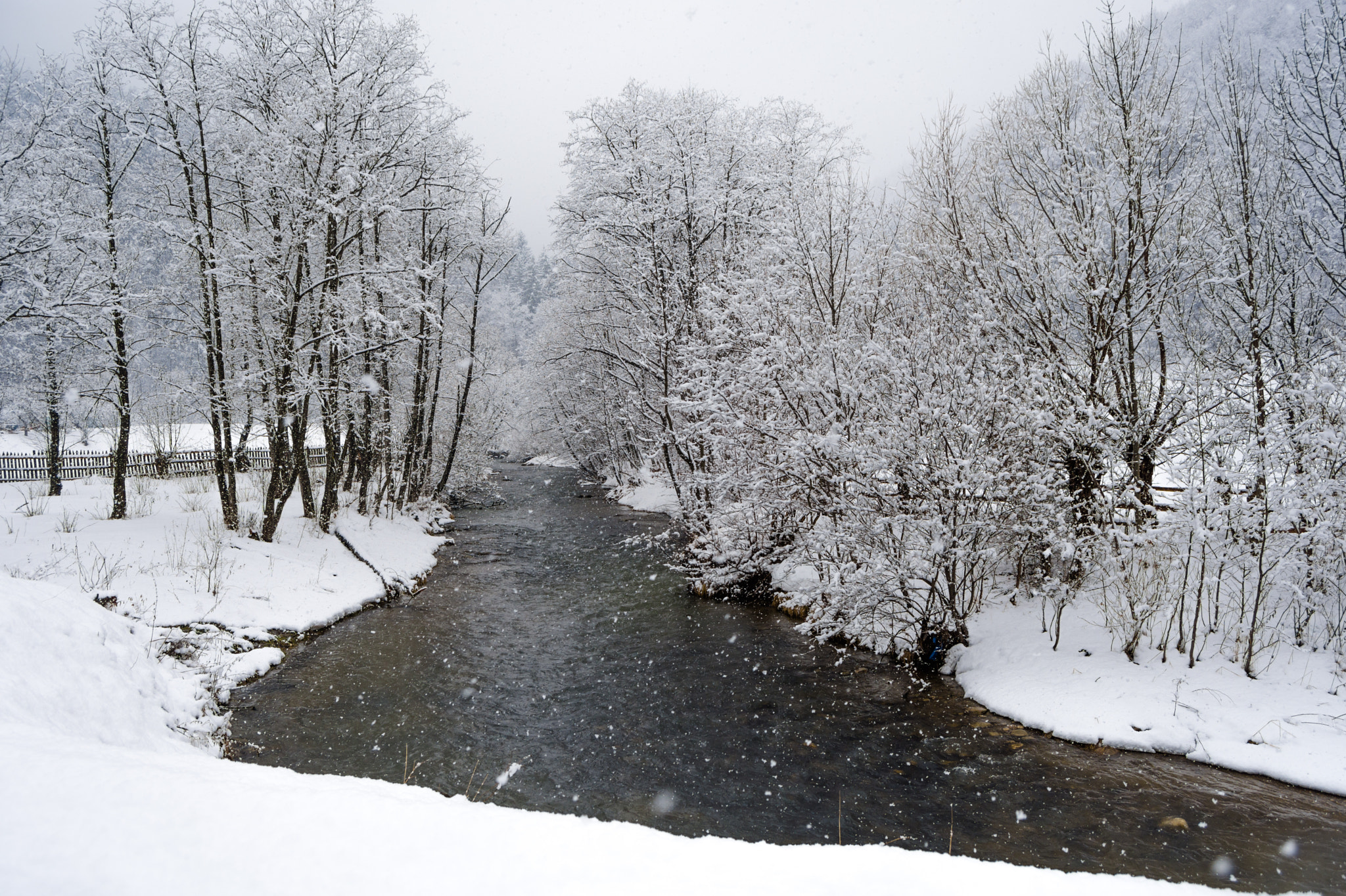 Nikon D7200 sample photo. Winterland 6 photography