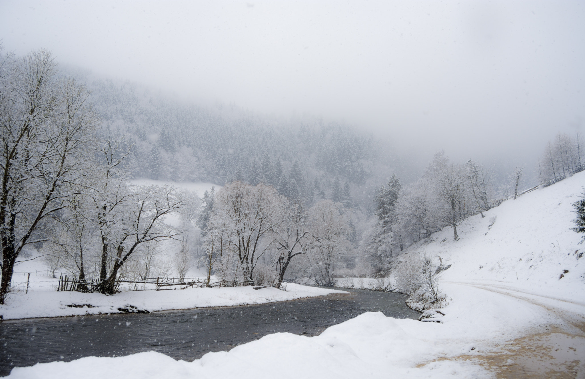 Nikon D7200 sample photo. Winterland 5 photography